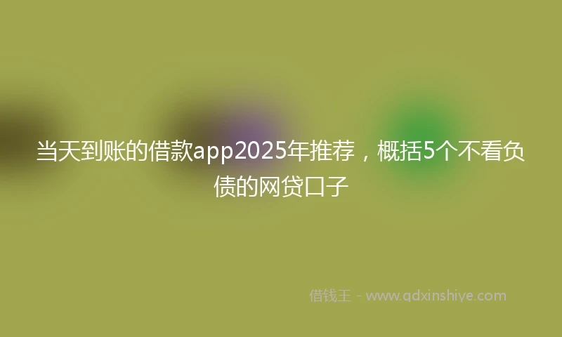当天到账的借款app2025年推荐，概括5个不看负债的网贷口子