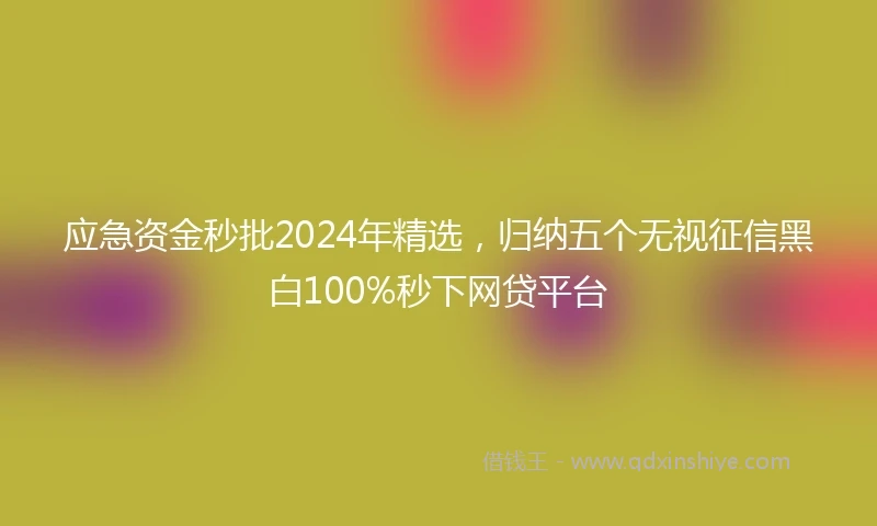应急资金秒批2024年精选，归纳五个无视征信黑白100%秒下网贷平台