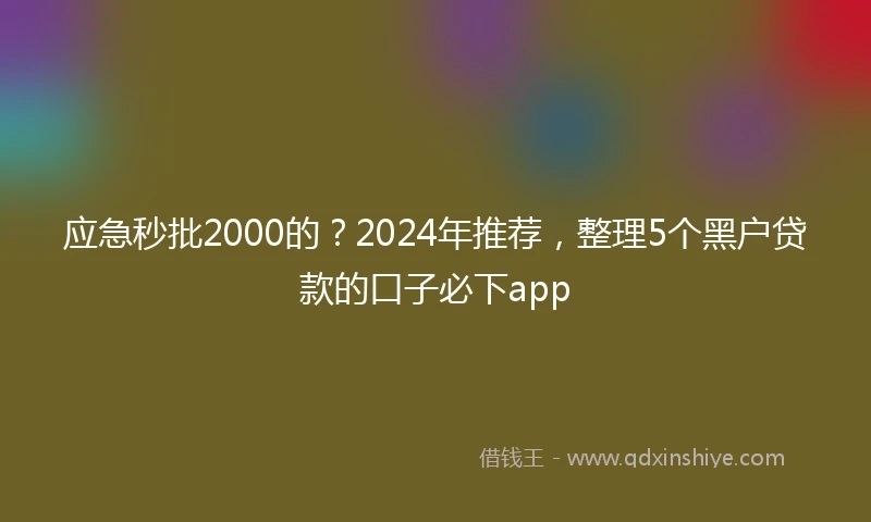 应急秒批2000的？2024年推荐，整理5个黑户贷款的口子必下app