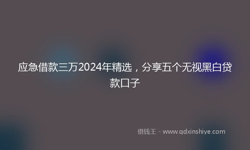 应急借款三万2024年精选，分享五个无视黑白贷款口子