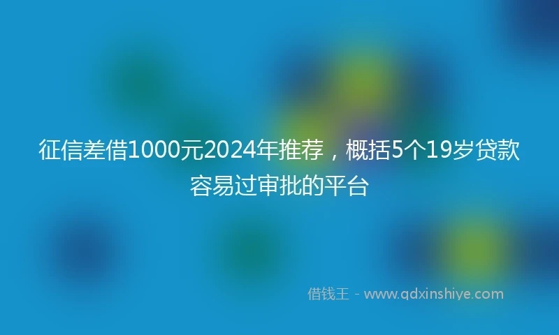 征信差借1000元2024年推荐，概括5个19岁贷款容易过审批的平台