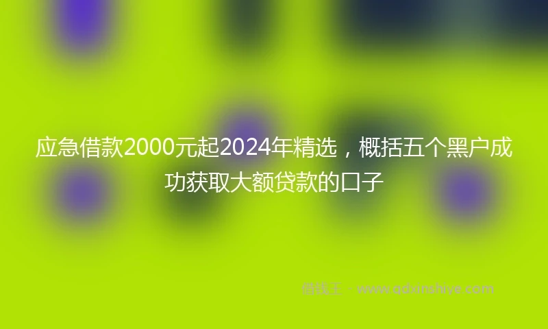 应急借款2000元起2024年精选，概括五个黑户成功获取大额贷款的口子