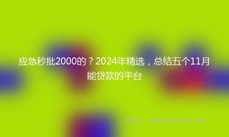 应急秒批2000的？2024年精选，总结五个11月能贷款的平台