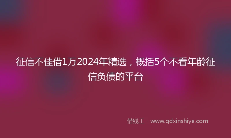 征信不佳借1万2024年精选，概括5个不看年龄征信负债的平台