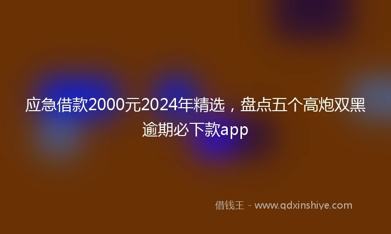 应急借款2000元2024年精选，盘点五个高炮双黑逾期必下款app