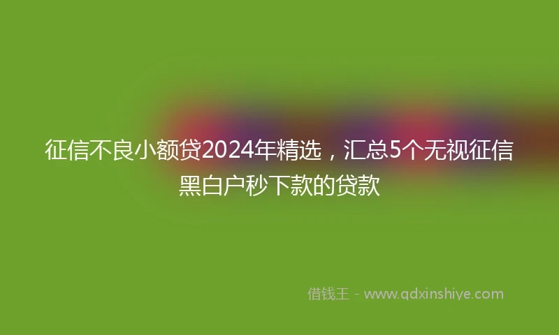 征信不良小额贷2024年精选，汇总5个无视征信黑白户秒下款的贷款