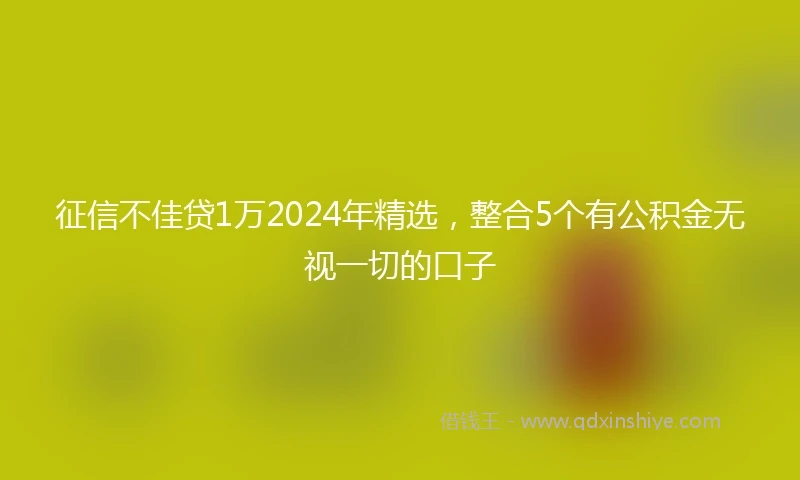 征信不佳贷1万2024年精选，整合5个有公积金无视一切的口子
