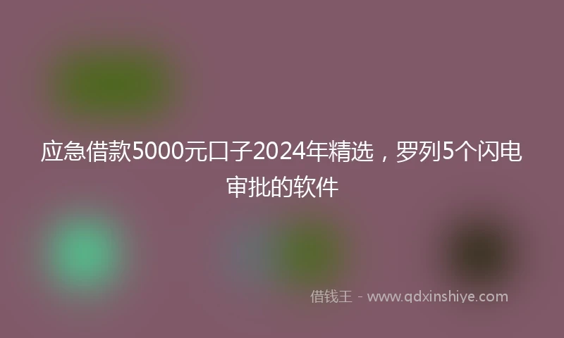 应急借款5000元口子2024年精选，罗列5个闪电审批的软件