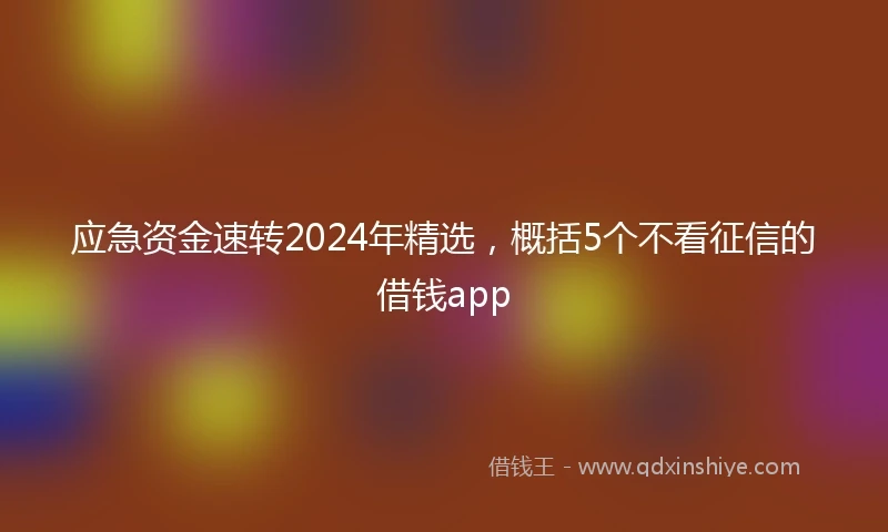 应急资金速转2024年精选，概括5个不看征信的借钱app