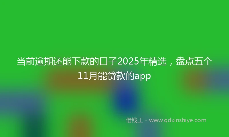 当前逾期还能下款的口子2025年精选，盘点五个11月能贷款的app