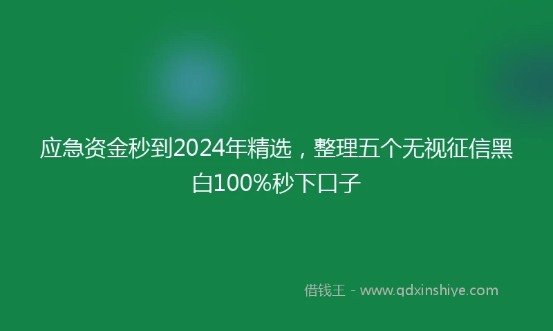 应急资金秒到2024年精选，整理五个无视征信黑白100%秒下口子