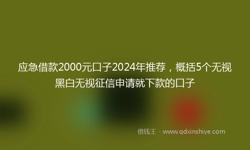 应急借款2000元口子2024年推荐，概括5个无视黑白无视征信申请就下款的口子
