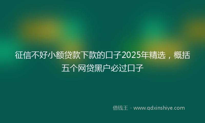 征信不好小额贷款下款的口子2025年精选，概括五个网贷黑户必过口子