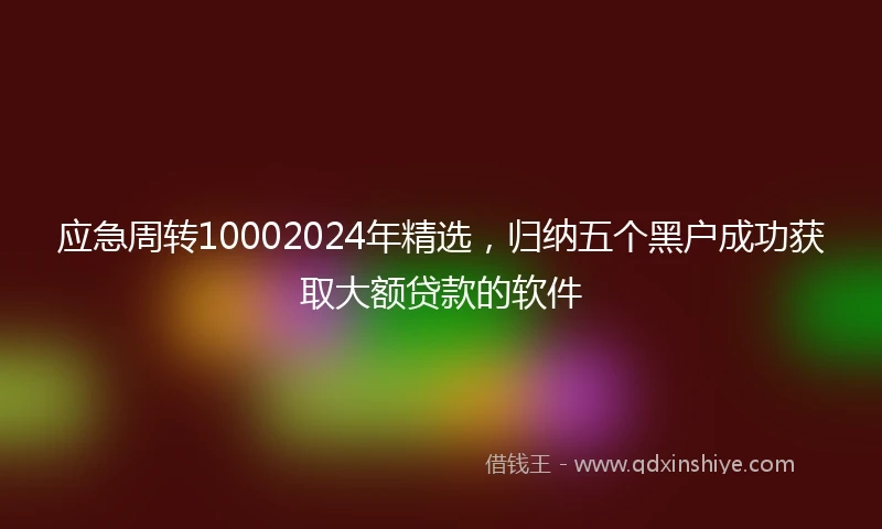 应急周转10002024年精选，归纳五个黑户成功获取大额贷款的软件