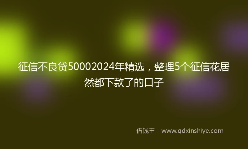 征信不良贷50002024年精选，整理5个征信花居然都下款了的口子