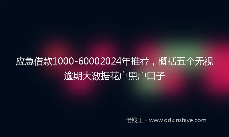 应急借款1000-60002024年推荐，概括五个无视逾期大数据花户黑户口子