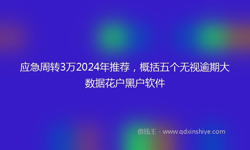 应急周转3万2024年推荐，概括五个无视逾期大数据花户黑户软件