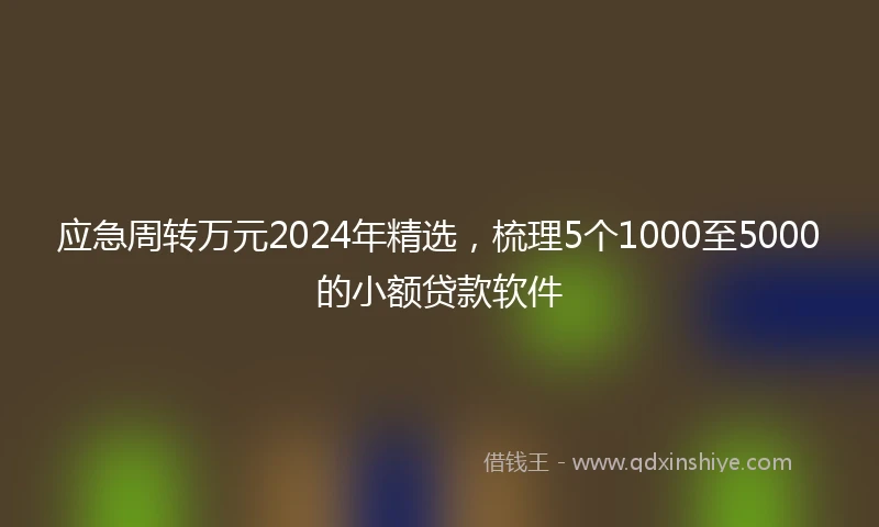应急周转万元2024年精选，梳理5个1000至5000的小额贷款软件