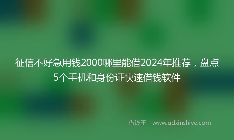征信不好急用钱2000哪里能借2024年推荐，盘点5个手机和身份证快速借钱软件
