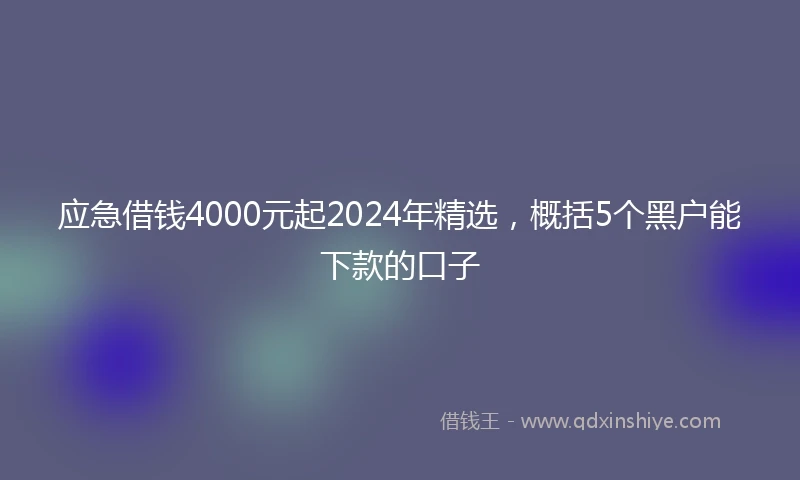 应急借钱4000元起2024年精选，概括5个黑户能下款的口子