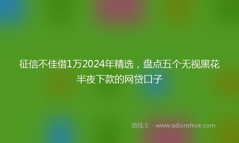 征信不佳借1万2024年精选，盘点五个无视黑花半夜下款的网贷口子