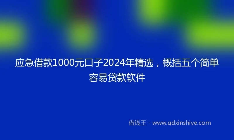 应急借款1000元口子2024年精选，概括五个简单容易贷款软件
