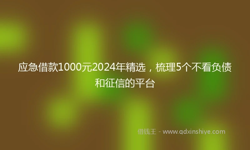 应急借款1000元2024年精选，梳理5个不看负债和征信的平台