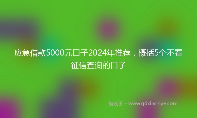 应急借款5000元口子2024年推荐，概括5个不看征信查询的口子