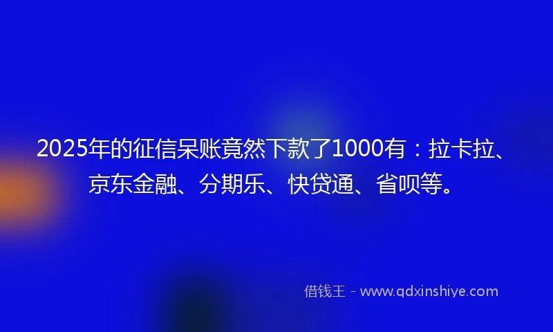 2025年的征信呆账竟然下款了1000有：拉卡拉、京东金融、分期乐、快贷通、省呗等。