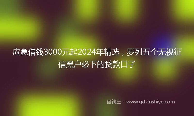 应急借钱3000元起2024年精选，罗列五个无视征信黑户必下的贷款口子