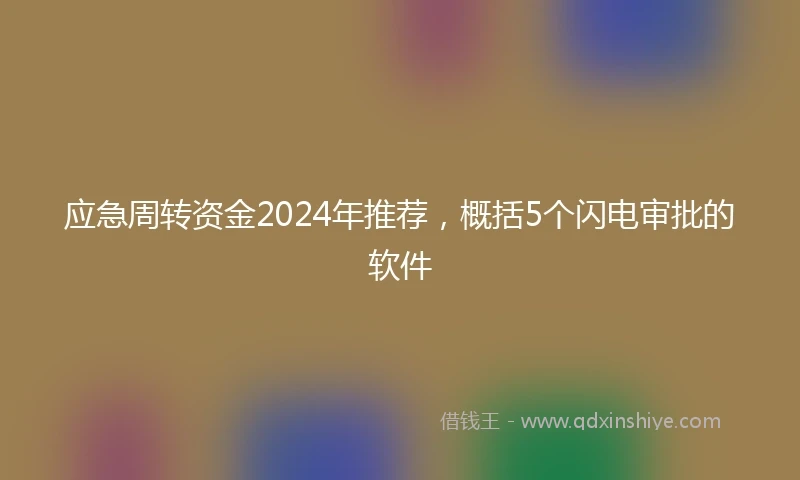 应急周转资金2024年推荐，概括5个闪电审批的软件