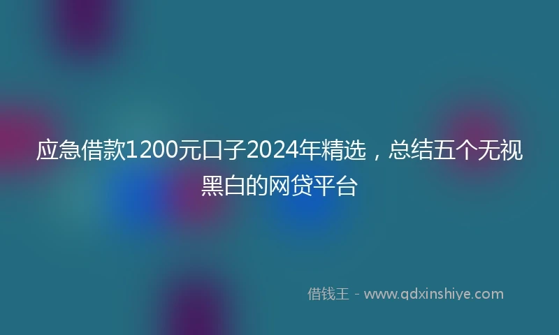 应急借款1200元口子2024年精选，总结五个无视黑白的网贷平台