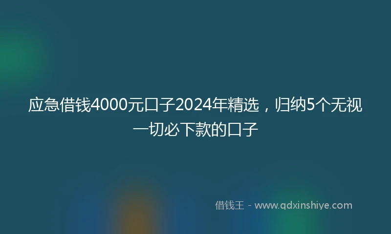 应急借钱4000元口子2024年精选，归纳5个无视一切必下款的口子
