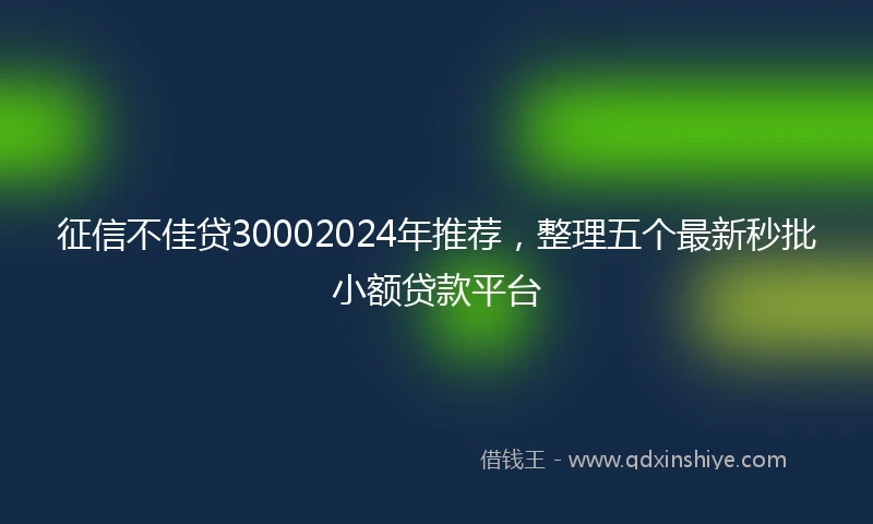征信不佳贷30002024年推荐，整理五个最新秒批小额贷款平台