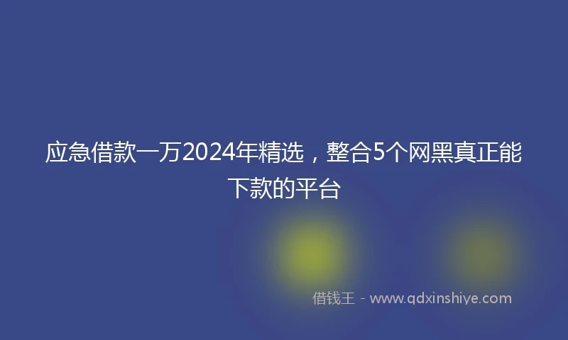 应急借款一万2024年精选，整合5个网黑真正能下款的平台