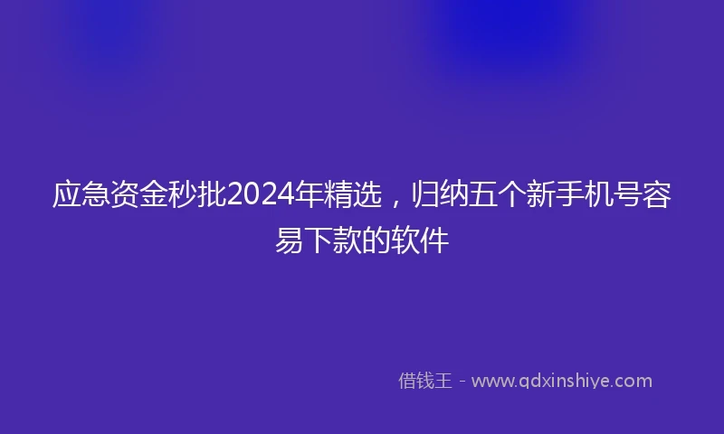 应急资金秒批2024年精选，归纳五个新手机号容易下款的软件