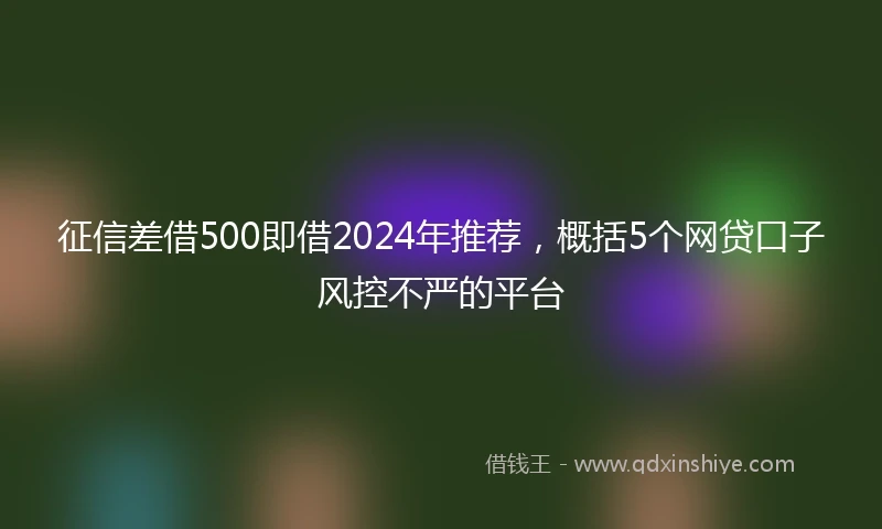 征信差借500即借2024年推荐，概括5个网贷口子风控不严的平台