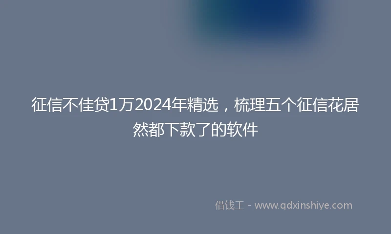 征信不佳贷1万2024年精选，梳理五个征信花居然都下款了的软件
