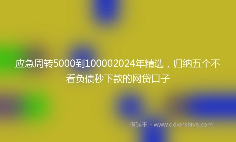应急周转5000到100002024年精选，归纳五个不看负债秒下款的网贷口子