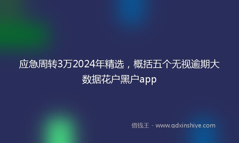 应急周转3万2024年精选，概括五个无视逾期大数据花户黑户app