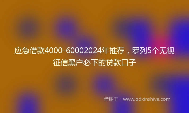 应急借款4000-60002024年推荐，罗列5个无视征信黑户必下的贷款口子
