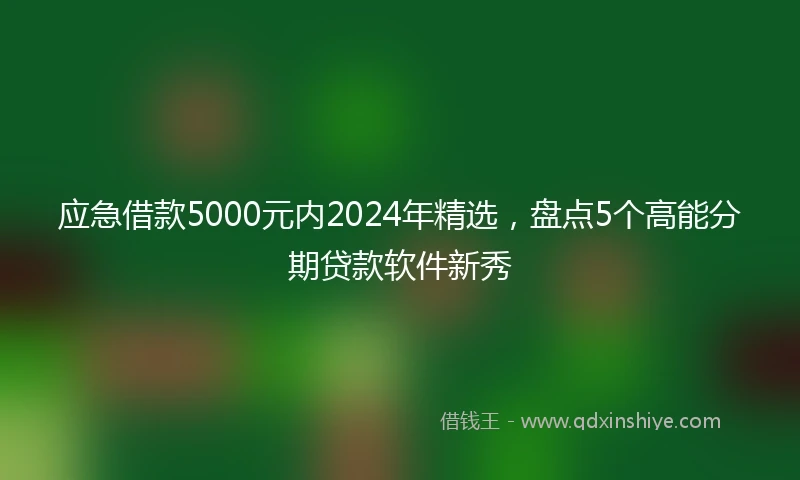 应急借款5000元内2024年精选，盘点5个高能分期贷款软件新秀