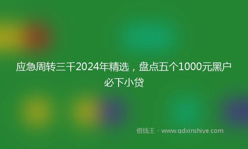 应急周转三千2024年精选，盘点五个1000元黑户必下小贷