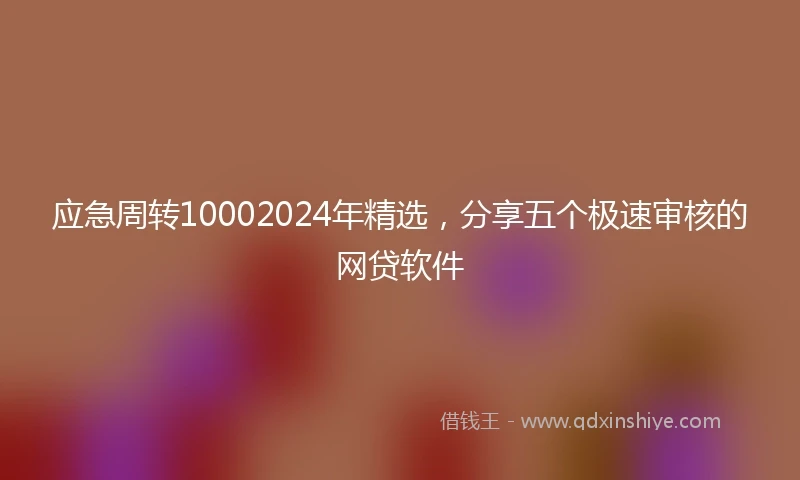 应急周转10002024年精选，分享五个极速审核的网贷软件