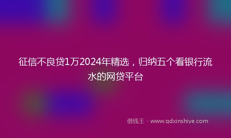 征信不良贷1万2024年精选，归纳五个看银行流水的网贷平台