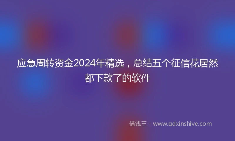 应急周转资金2024年精选，总结五个征信花居然都下款了的软件