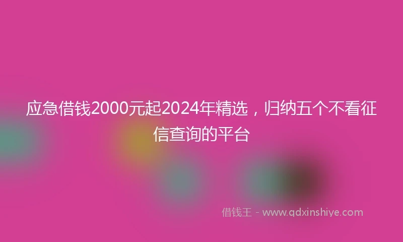 应急借钱2000元起2024年精选，归纳五个不看征信查询的平台