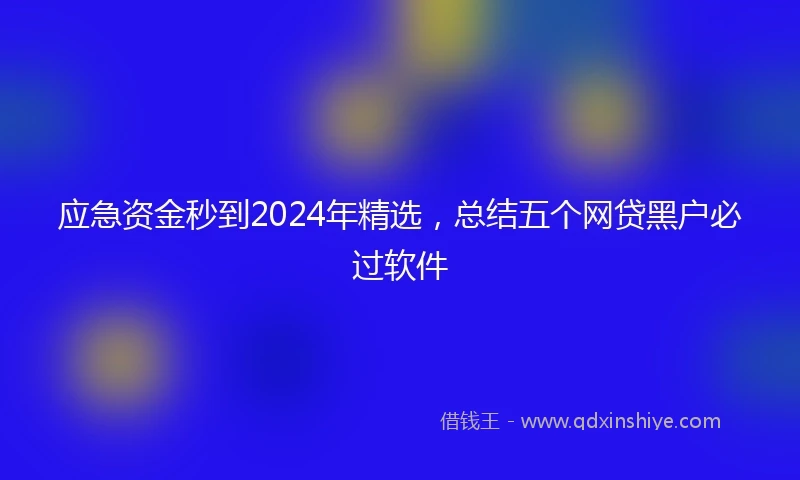 应急资金秒到2024年精选，总结五个网贷黑户必过软件