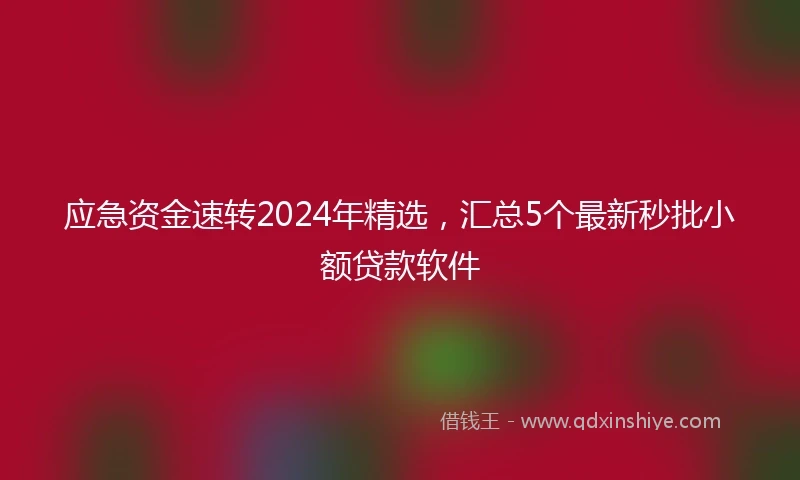 应急资金速转2024年精选，汇总5个最新秒批小额贷款软件