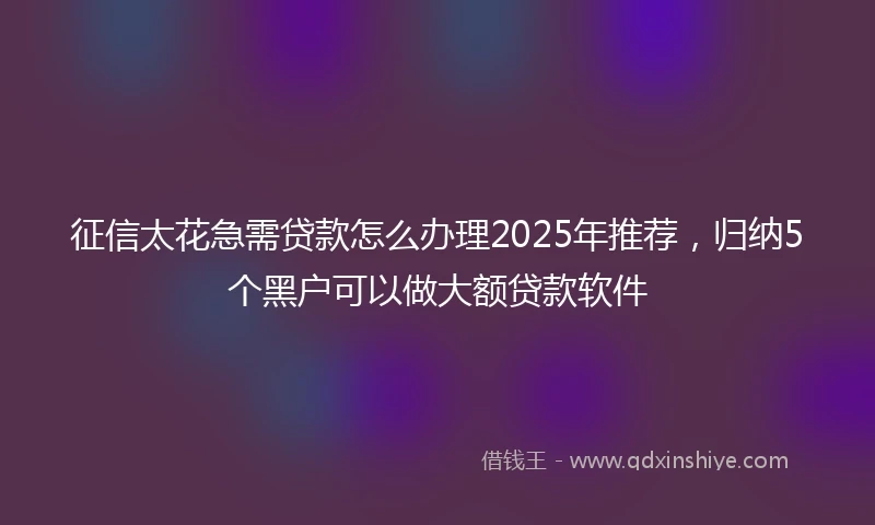 征信太花急需贷款怎么办理2025年推荐，归纳5个黑户可以做大额贷款软件